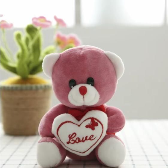 Love Quote Soft Teddy – A Hug Full of Love