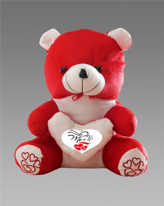 Love Quote Soft Teddy – A Hug Full of Love